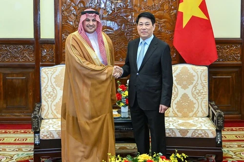 El presidente de Vietnam, Luong Cuong, recibe al embajador de Arabia Saudita, Mohammed Ismaeil A. Dahlwy.