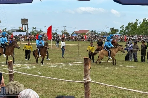 Los jinetes campesinos y los caballos de carga participan en la carrera.