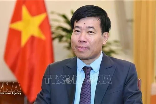 El viceministro de Relaciones Exteriores Nguyen Manh Cuong (Foto: VNA)