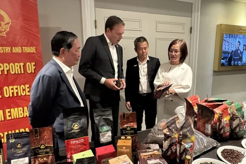 Tran Thu Quynh, consejera comercial de Vietnam en Canadá (derecha), presenta productos de café de alta calidad al presidente de la Asociación Canadiense del Café (segundo desde la izquierda). (Foto: VNA)