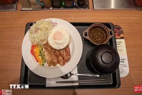 El plato "Arroz partido vietnamita con cerdo" (Foto: VNA)