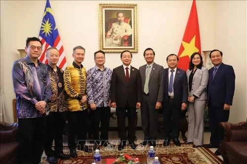 El viceprimer ministro Tran Hong Ha (centro) junto con representantes de asociaciones y empresas malasias (Foto: VNA)