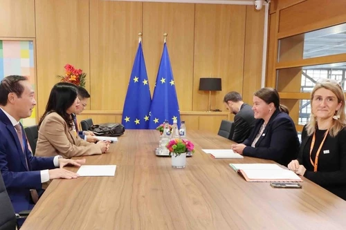 Le Thi Thu Hang, viceministra vietnamita de Relaciones Exteriores, se reúne con la asesora de políticas exteriores del presidente del Consejo Europeo, Veronika Musilova. (Foto: VNA)