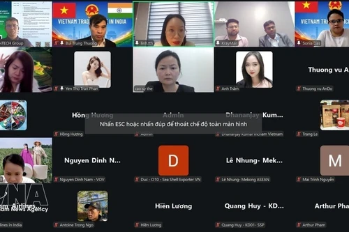 Participantes en el seminario (Foto: VNA)