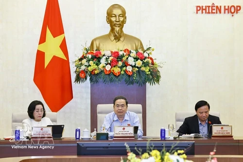 El presidente de la AN, Tran Thanh Man, interviene en la cita (Foto: VNA)