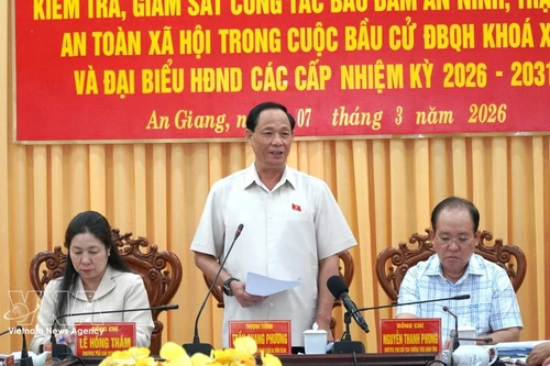 El vicepresidente de la Asamblea Nacional, Tran Quang Phuong, interviene en la reunión (Foto: VNA)