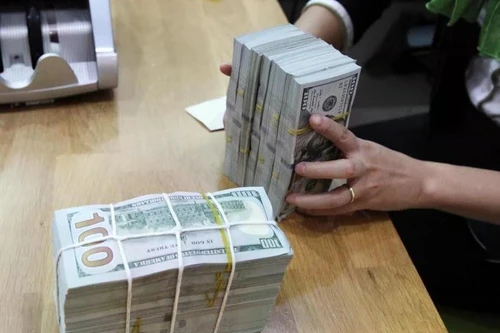 Foto de ilustración. (Fuente: nhandan.vn)