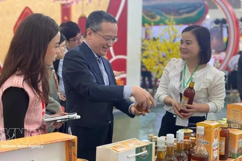 La Organización de Comercio Exterior de Japón en Hanói (JETRO Hanói), encabezada por su representante jefe, Ozasa Haruhiko, realiza una visita de trabajo a la primera Feria de Primavera 2026. (Fuente: VNA)