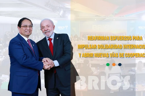 Reafirman esfuerzos para impulsar solidaridad internacional y abrir nuevas vías de cooperación