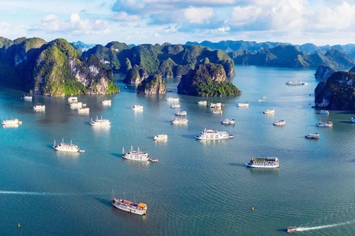 Vietnam: Un viaje por la majestuosidad de la naturaleza