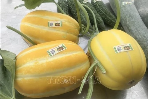 Foto ilustrativa. (Fuente: VNA)