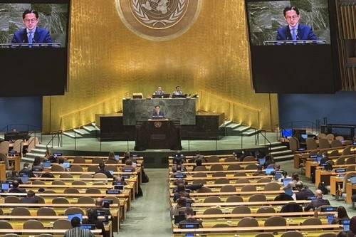 Foto de ilustración. (Fuente: VNA)