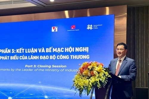 Bui Huy Son, director del Departamento de Planificación, Finanzas y Gestión Empresarial del Ministerio de Industria y Comercio, habla en el evento. (Foto: VNA)