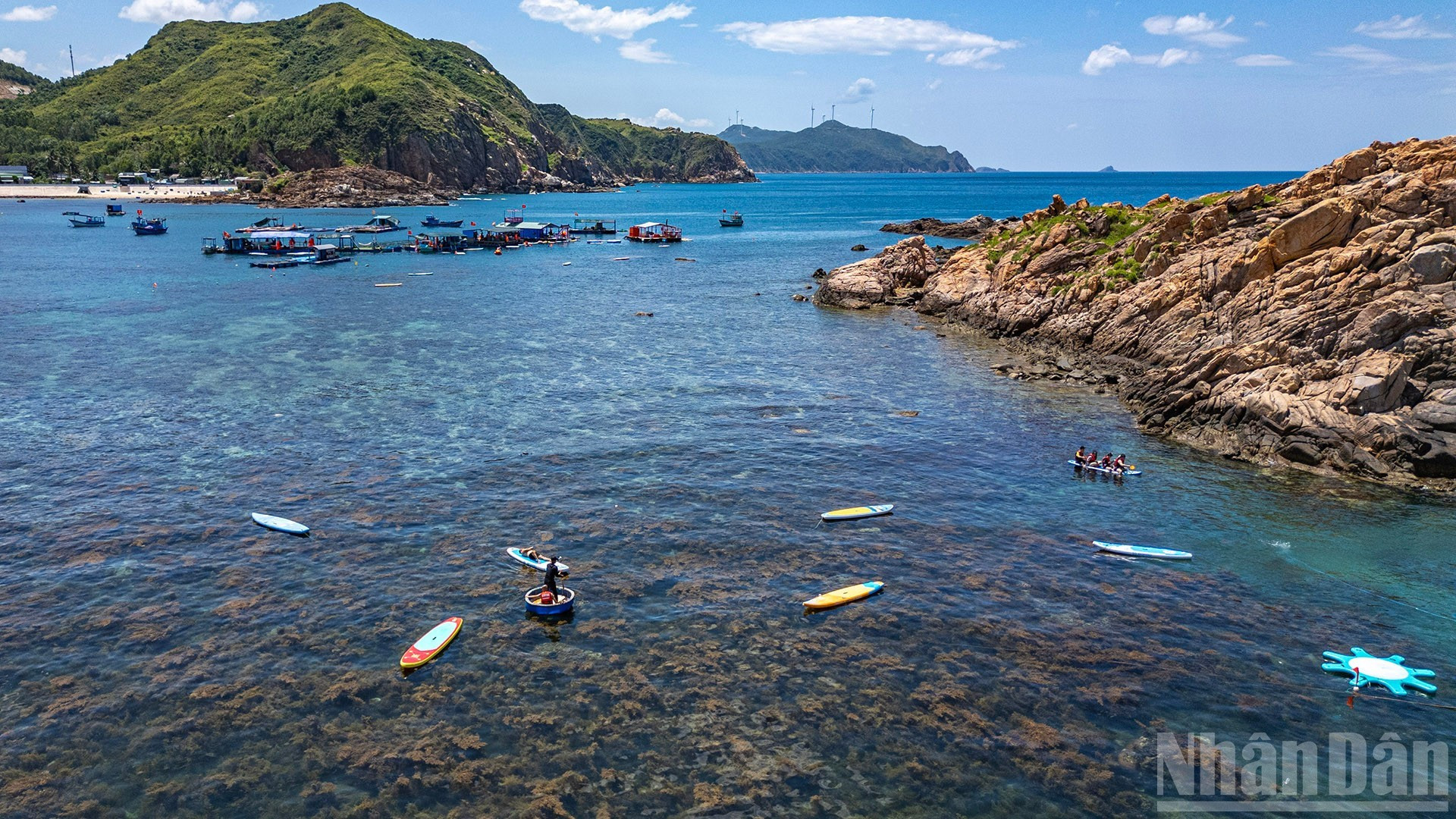 Cada verano, por debajo de la superficie cristalina del mar, aparece una población de enigmáticas algas amarillas que salpican la belleza del remanso. Cada verano, por debajo de la superficie cristalina del mar, aparece una población de enigmáticas algas amarillas que salpican la belleza del remanso.