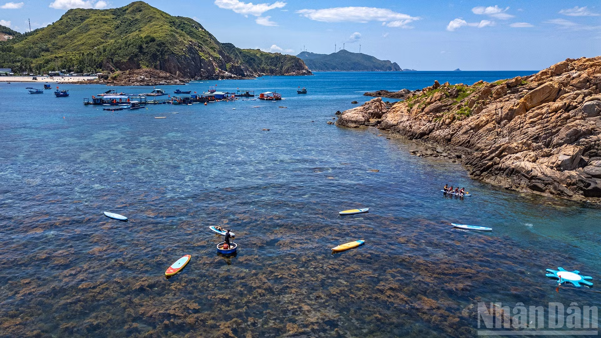 Cada verano, por debajo de la superficie cristalina del mar, aparece una población de enigmáticas algas amarillas que salpican la belleza del remanso.