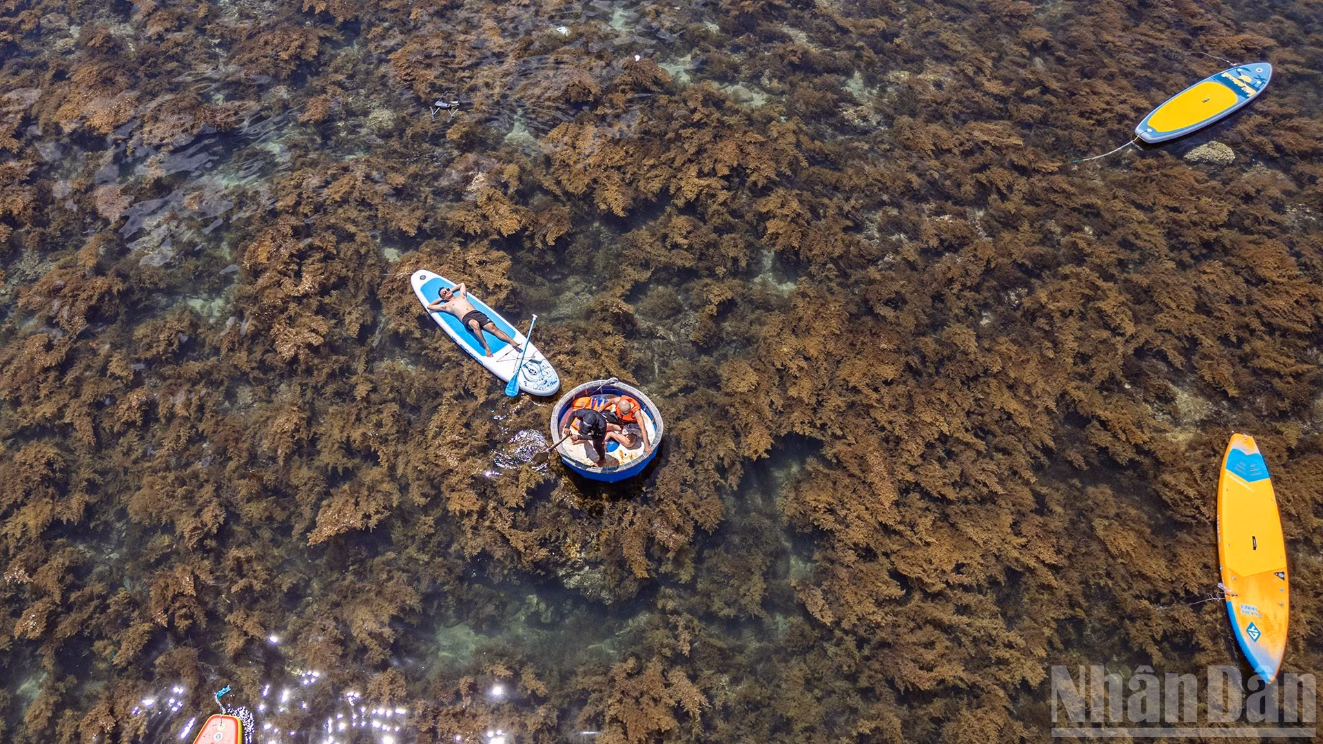 Relajación en el seno de la naturaleza.