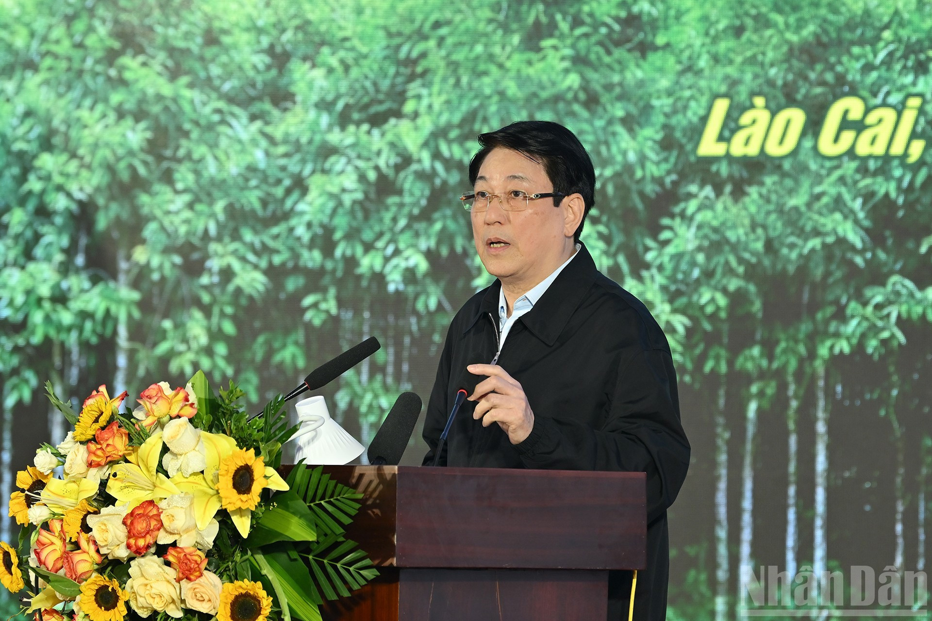 El presidente Luong Cuong toma la palabra.