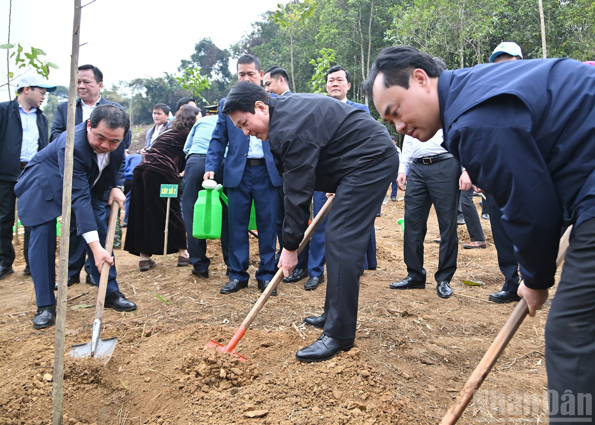 El presidente Luong Cuong y delegados a la actividad plantan arbolitos.