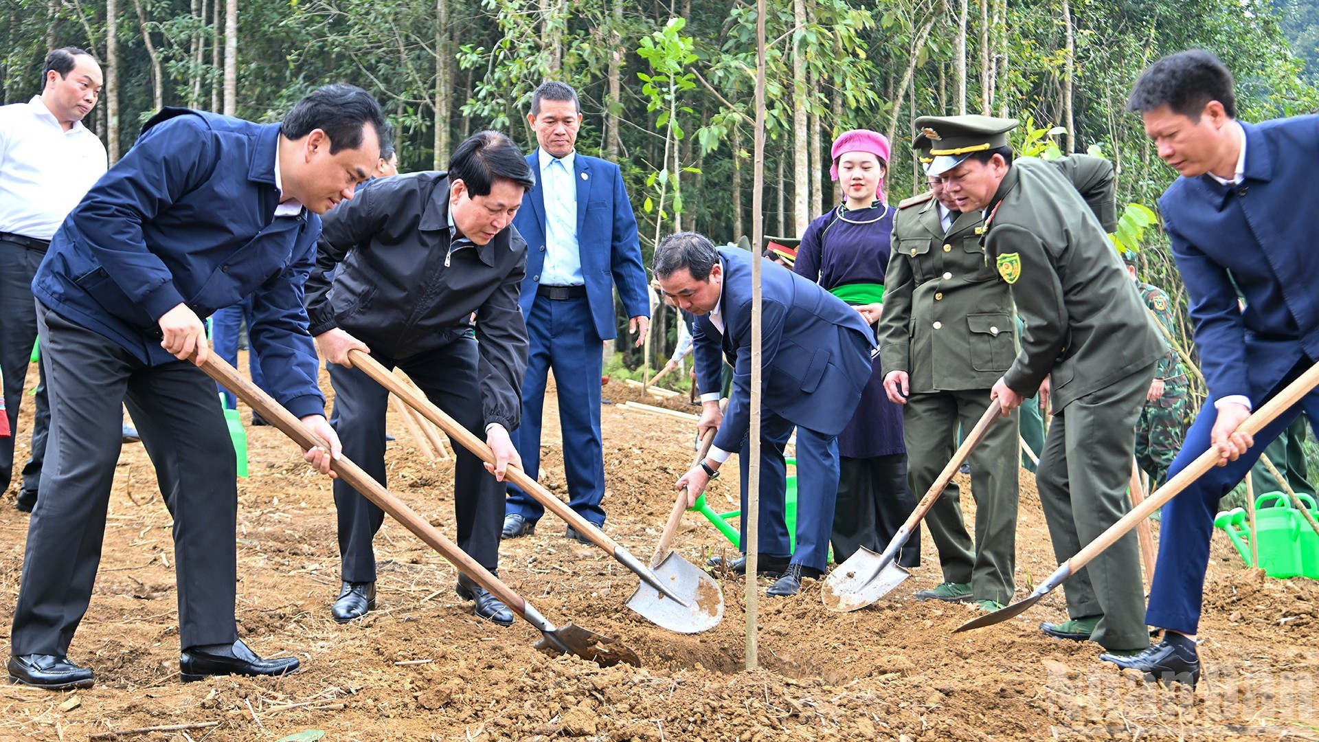 El presidente de Vietnam, Luong Cuong, y delegados plantan un arbolito en la ceremonia.