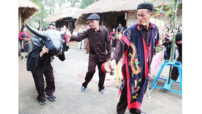 El chamán conduce el “búfalo” al campo para realizar de manera simbólica la labranza inaugural del cultivo.