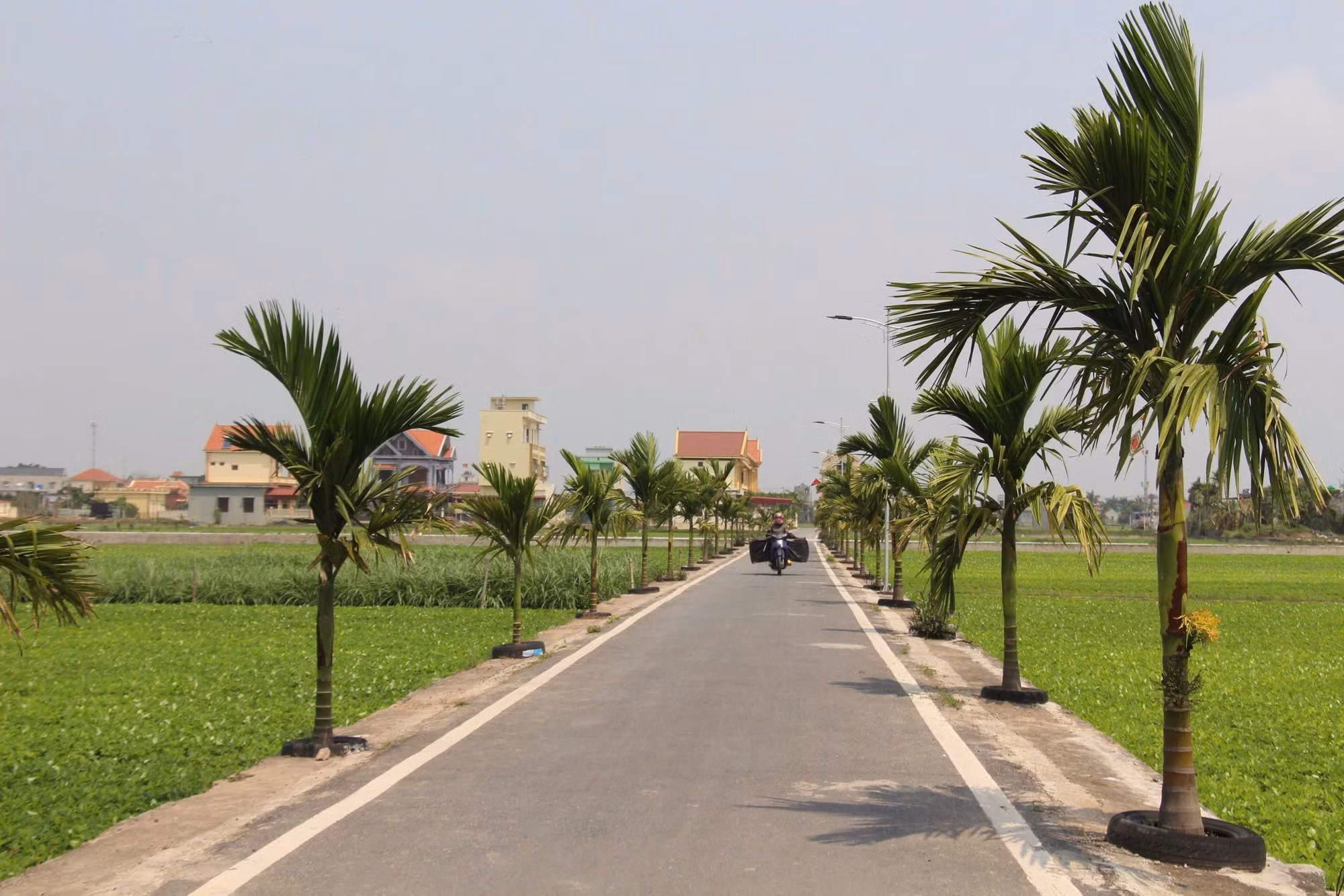 Paisaje de la nueva ruralidad ejemplar; mecanización de la producción agrícola, ganadería a gran escala con seguridad biológica.