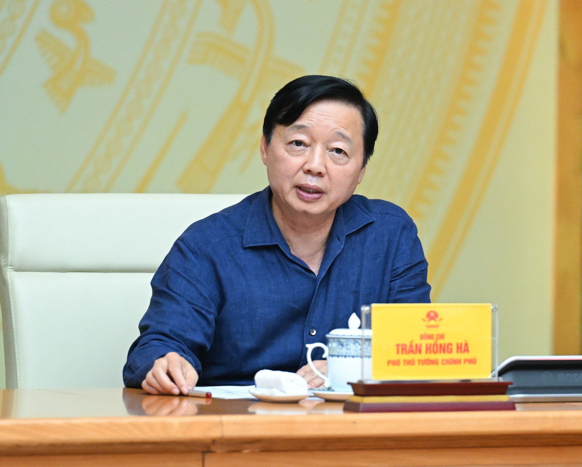 El viceprimer ministro Tran Hong Ha tiene la palabra.