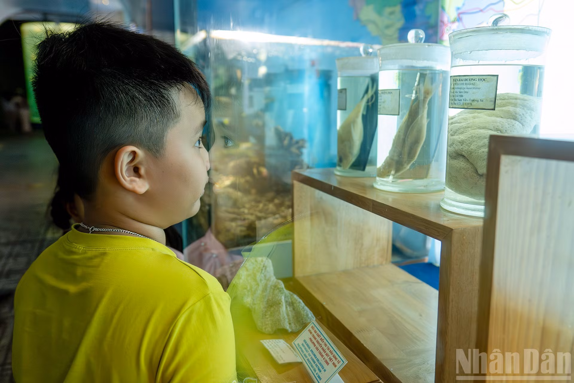 Los objetos expuestos no solo se aprecian por su valor científico, sino que también contribuyen a educar a las nuevas generaciones sobre la sagrada soberanía del mar y las islas de la Patria.