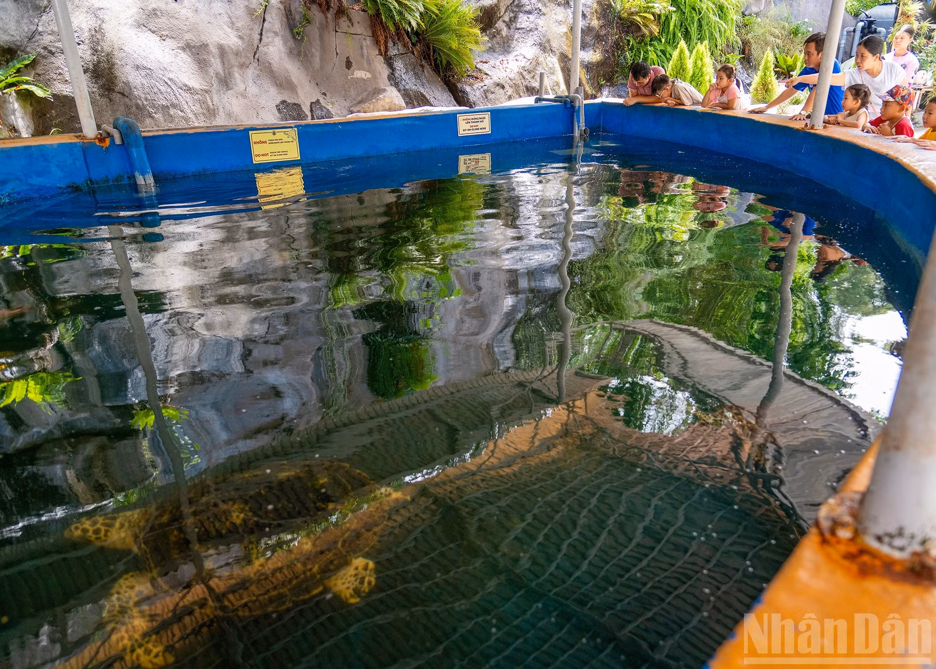 El acuario al aire libre está reservado para la fauna marina de gran tamaño, como las tortugas. Este entorno semicontrolado sirve tanto para la observación de los turistas como para la investigación y la recuperación de la salud de los animales.