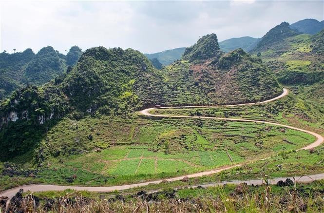 La meseta kárstica de Dong Van se ubica en la provincia norteña de Tuyen Quang. La meseta kárstica de Dong Van se ubica en la provincia norteña de Tuyen Quang.