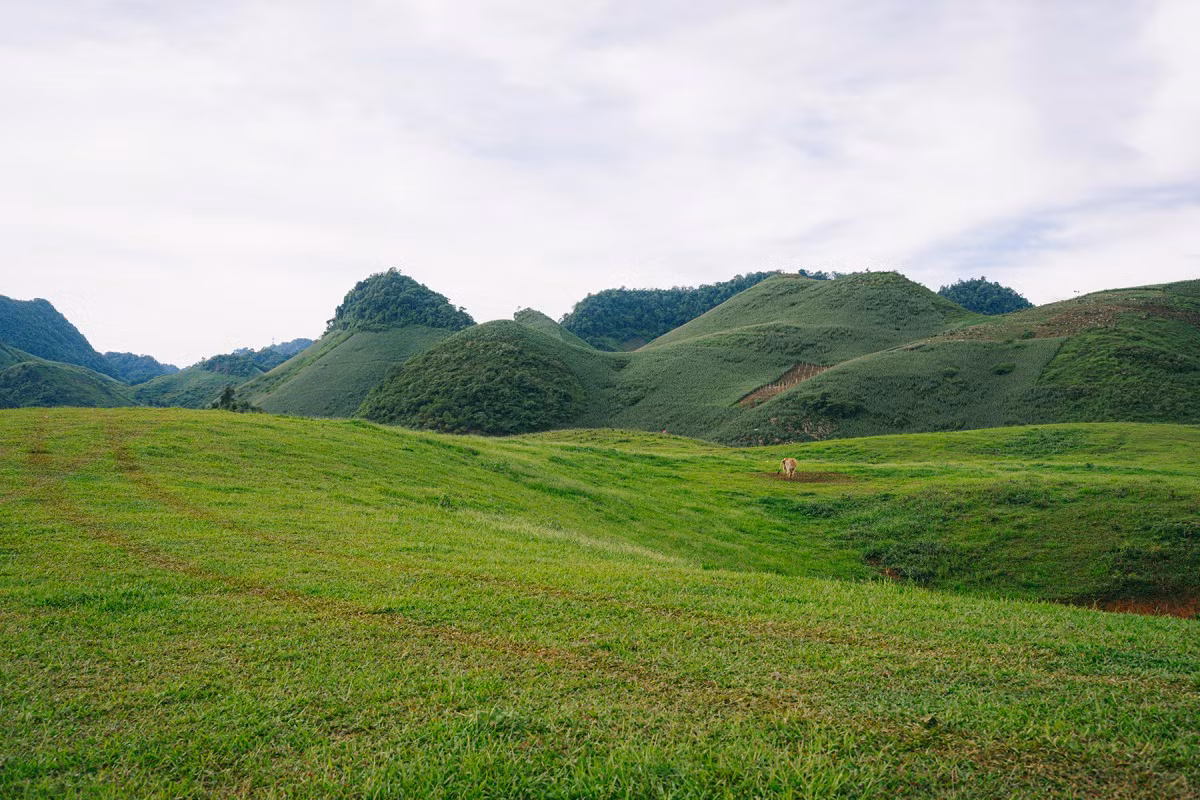 Según un proveedor de servicios turísticos de Moc Chau, todavía no se cobra entrada para visitar Suoi Bon, por lo que los viajeros pueden disfrutar gratis de este remanso de paz.