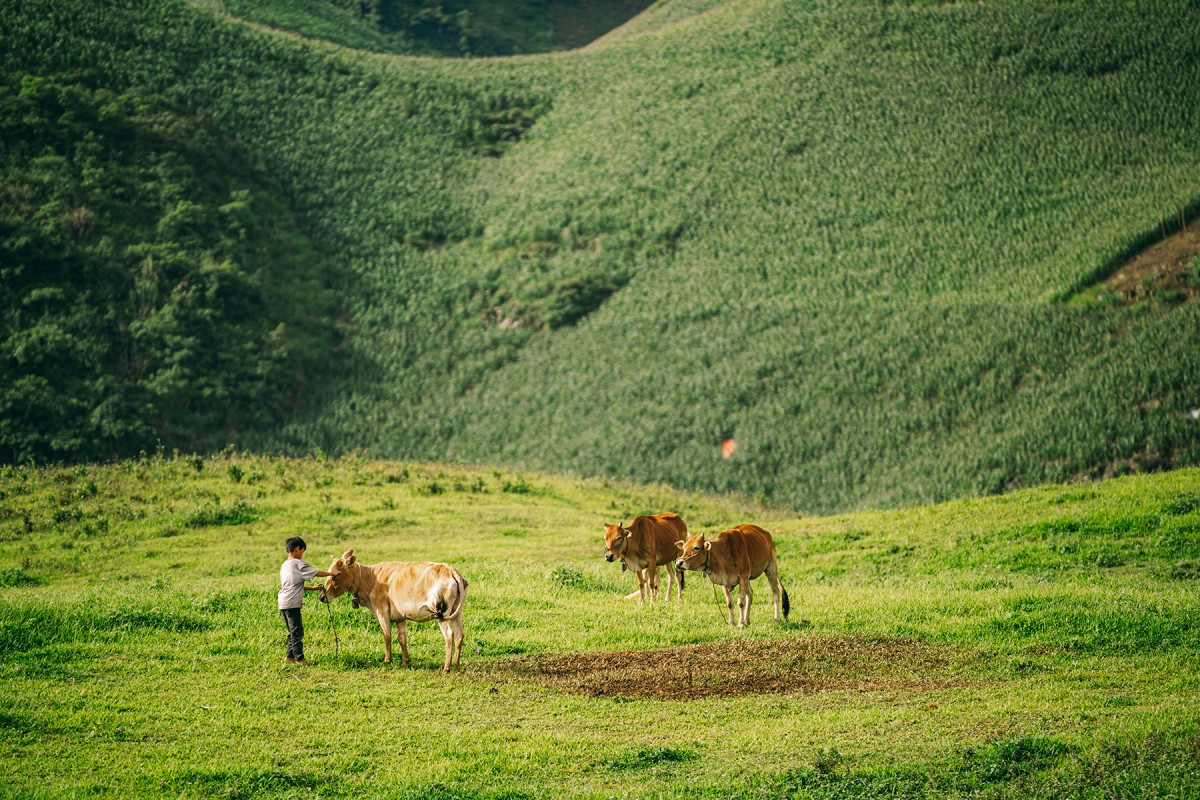 Las inmensas praderas invitan a los visitantes a acampar, pasear y hacer senderismo.