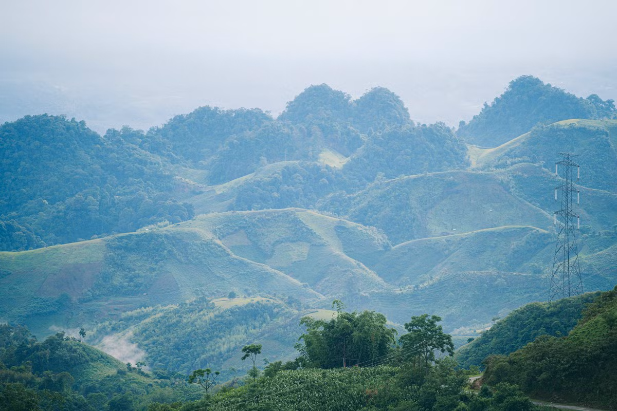 Este recinto sobresale por su prístino entorno y singularidades culturales de las tierras montañosas del norte vietnamita. Las colinas de “sim”, en floración durante agosto y septiembre, son un lugar fotogénico para los turistas.