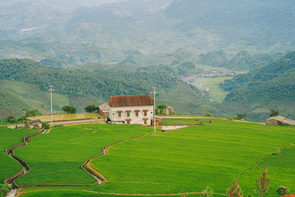 Actualmente en Suoi Bon no están disponibles servicios de comida ni alojamiento. Los visitantes deben hospedarse en Moc Chau y dedicar un día a este destino. También se pueden bañar en cascadas del entorno, explorar la naturaleza salvaje de la comuna de Van Ho y visitar las colinas de té y las aguas termales de Chieng Yen.