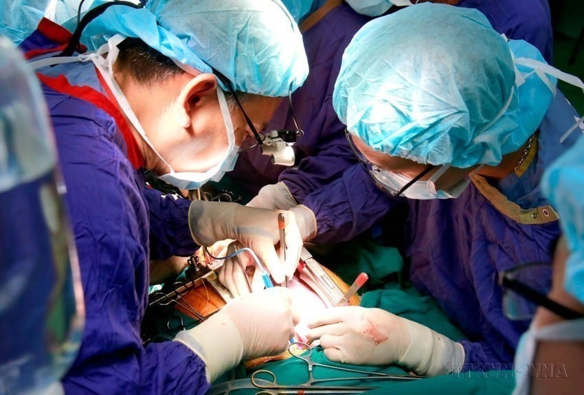 Tras las reformas, el sistema de salud de Vietnam ha experimentado un desarrollo integral y sólido. En la imagen, la primera realización en Vietnam de un trasplante de seis órganos de un donante con muerte cerebral en el Hospital de Amistad Vietnam-Alemania (Hanói, 24 de diciembre de 2018). Tras las reformas, el sistema de salud de Vietnam ha experimentado un desarrollo integral y sólido. En la imagen, la primera realización en Vietnam de un trasplante de seis órganos de un donante con muerte cerebral en el Hospital de Amistad Vietnam-Alemania (Hanói, 24 de diciembre de 2018).