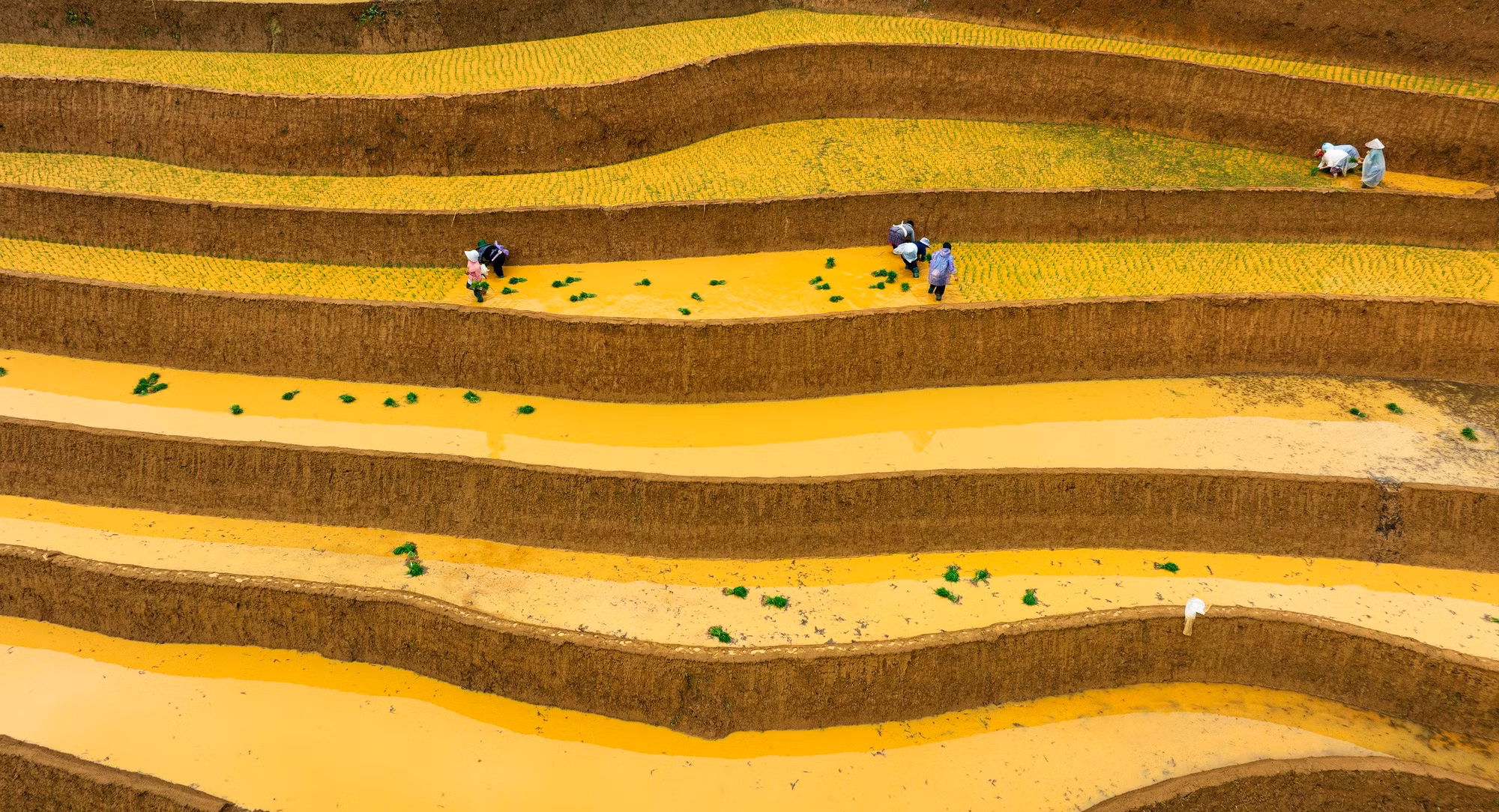 Las terrazas de arroz de La Pan Tan, en la ladera del monte de Khau Pha, a unos 15-20 kilómetros del centro de Mu Cang Chai. Enclavada a casi dos mil metros sobre el nivel del mar, esta zona integra el núcleo del Patrimonio Nacional Especial “Terrazas de arroz de Mu Cang Chai”.