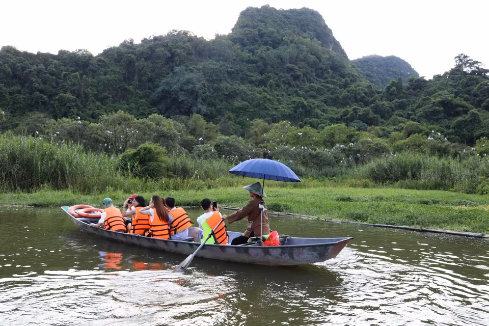 Al visitar el jardín de aves de Thung Nham, los turistas tienen la oportunidad de admirar de cerca la belleza salvaje de numerosas especies de aves.