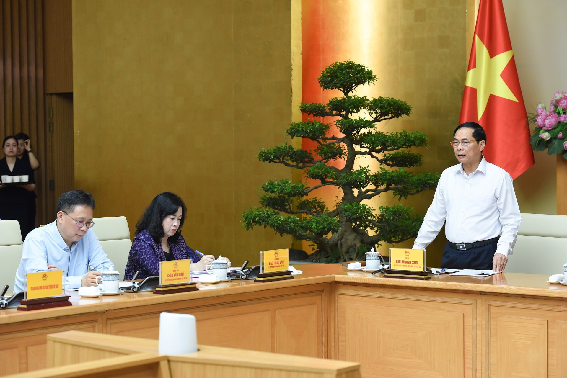 El vice primer ministro y titular de Relaciones Exteriores, Bui Thanh Son. El vice primer ministro y titular de Relaciones Exteriores, Bui Thanh Son.