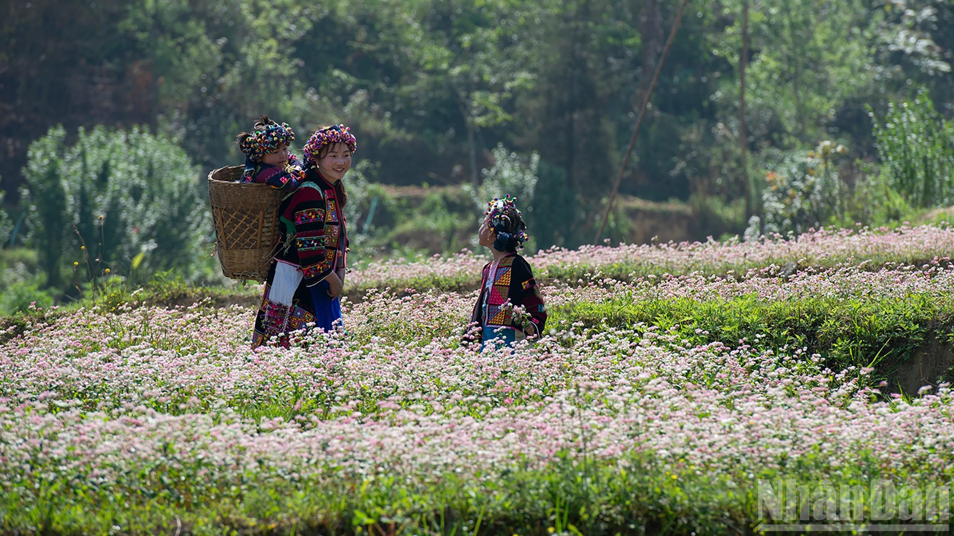 Un toque de serenidad en los montes y bosques del noroeste vietnamita.