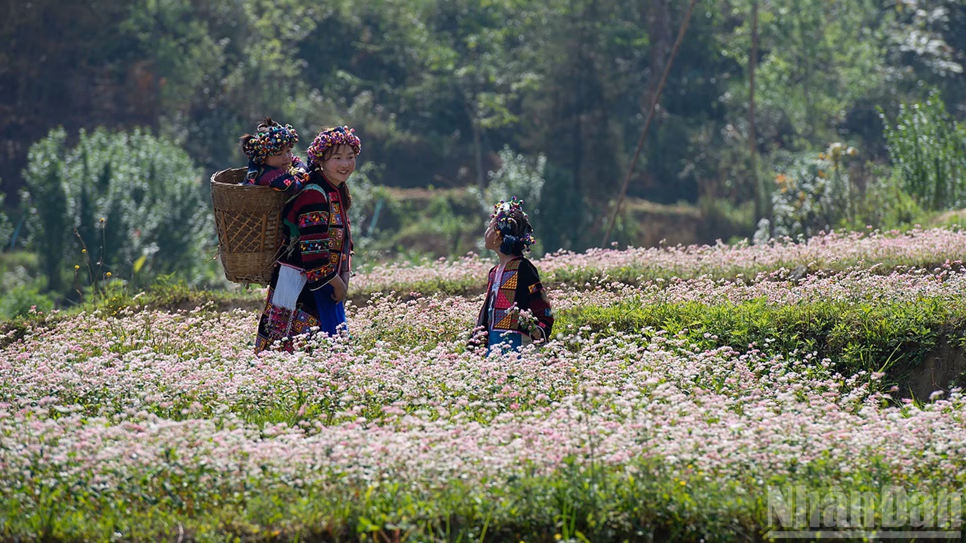 Un toque de serenidad en los montes y bosques del noroeste vietnamita.