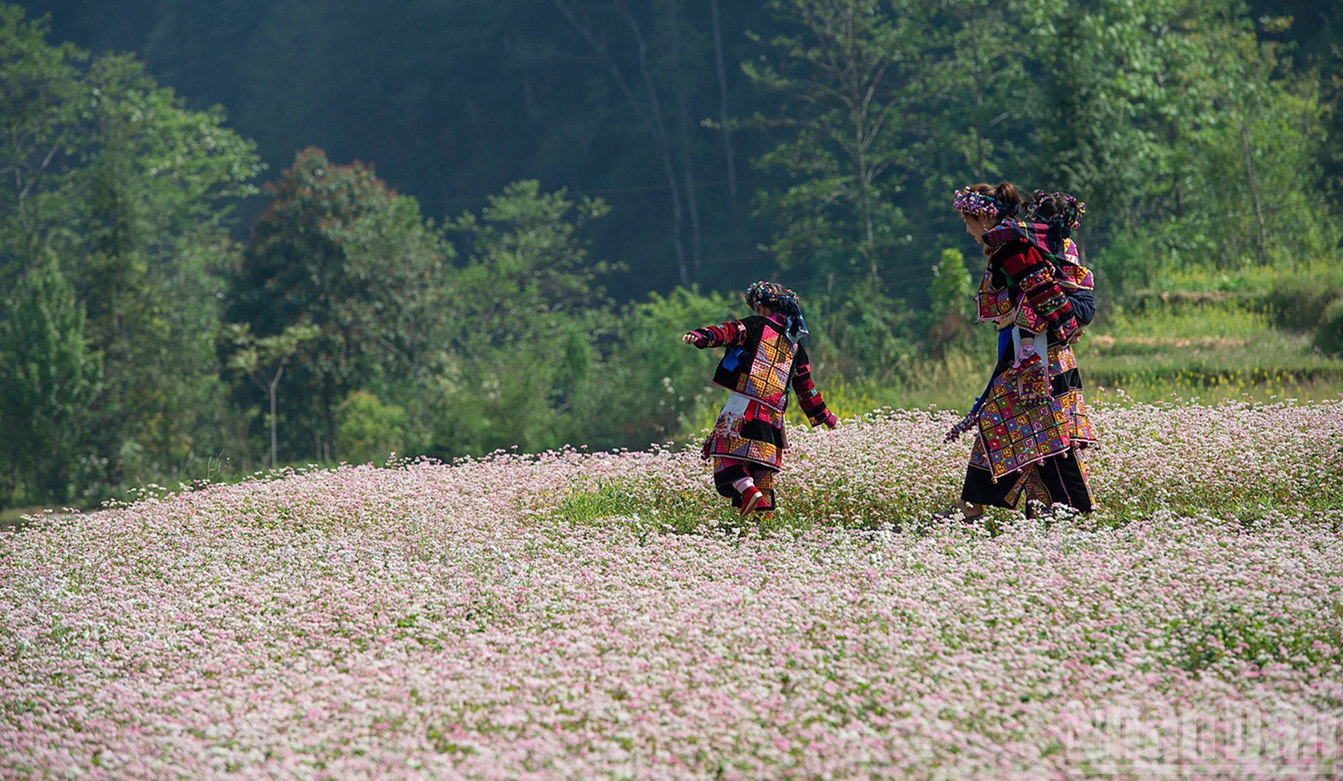Plena sumersión en el entorno natural de las tierras altas.