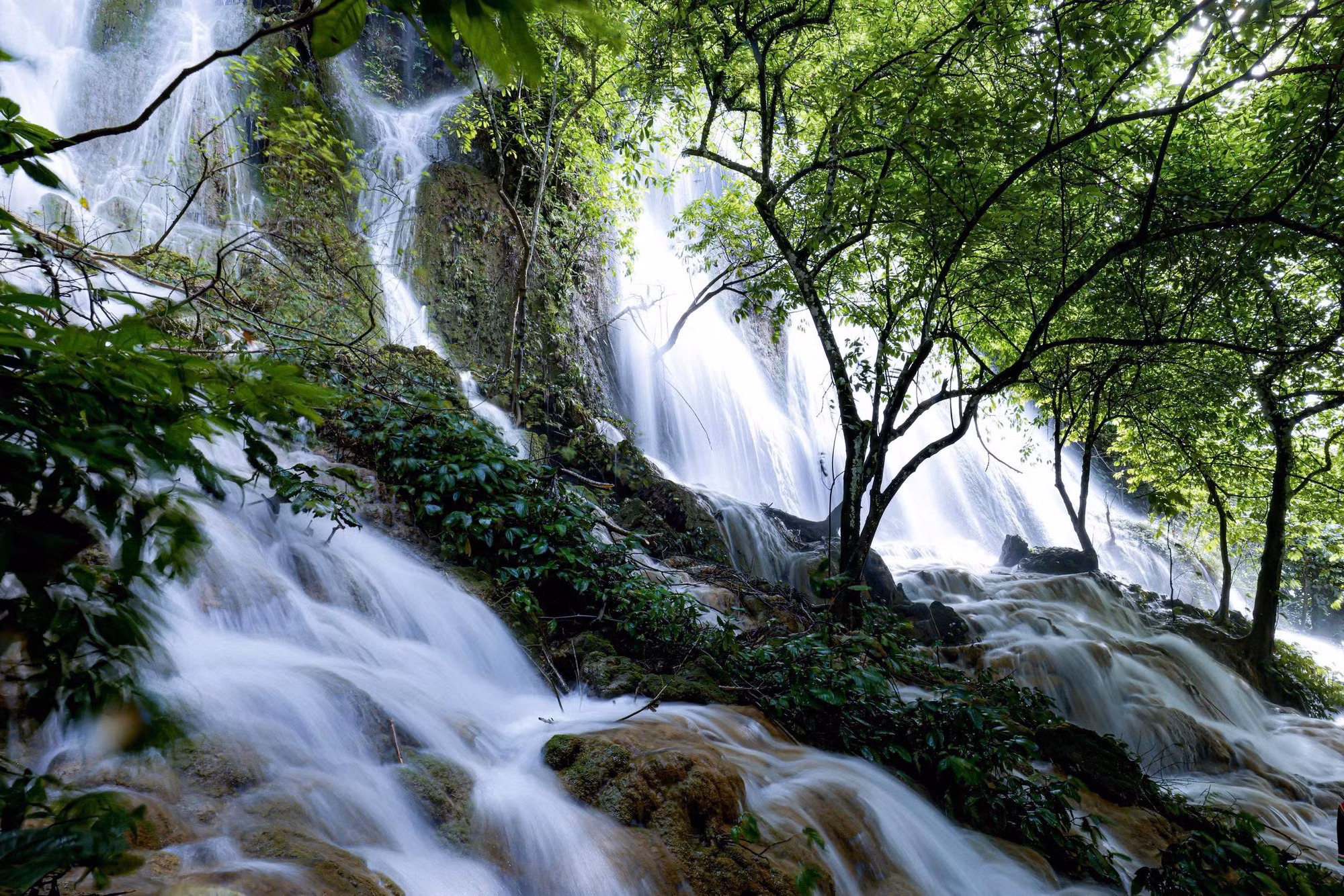 La cascada de Reu en un día estival. Los rápidos caen solo desde unos 30 metros, por lo que sobresalen por su suavidad y típico color verde musgo.