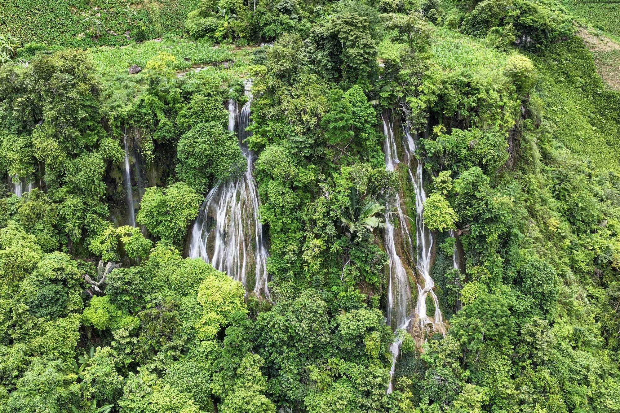 La cascada a vista de pájaro. El agua cristalina baña rocas masivas y acantilados musgosos, creando un paisaje lleno de vitalidad.