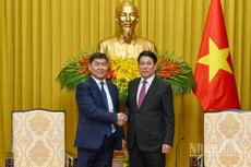 El presidente de Vietnam, Luong Cuong, recibe al titular del Tribunal Supremo de Mongolia, Ganzorig Damdin. (Foto: Nhan Dan)