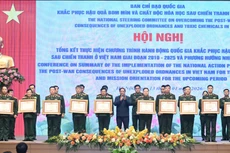 [Foto] Premier asiste a conferencia sobre la superación de consecuencias de las minas de la posguerra en Vietnam