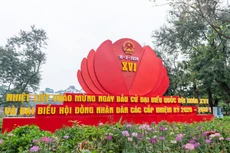 Foto: daibieunhandan.vn