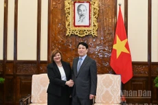 El presidente de Vietnam, Luong Cuong, y la embajadora de la República Árabe de Egipto, Amal Abdel Kader Elmorsi Salama. (Foto: Nhan Dan)
