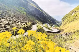 Vietnam acelera la transformación verde de su industria turística
