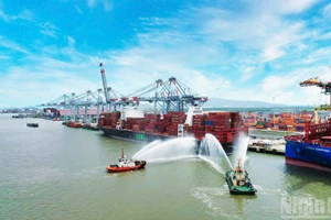 Cai Mep-Thi Vai es el más grande y moderno complejo de puertos de aguas profundas de Vietnam y juega un papel estratégico en el sistema logístico nacional.