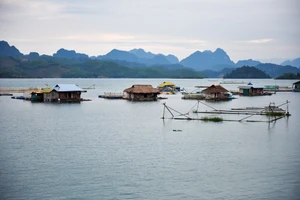 Thac Bo: experiencia fluvial, cultural y gastronómica en el lago Hoa Binh