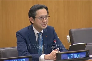 El embajador Do Hung Viet, jefe de la misión permanente de Vietnam ante la Organización de las Naciones Unidas y presidente designado de la Conferencia de Examen del TNP. (Foto: VNA)